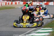 _DSC4687 copie